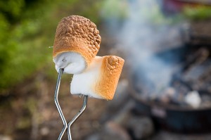 marshmallow on a skewer