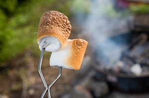 marshmallow on a skewer